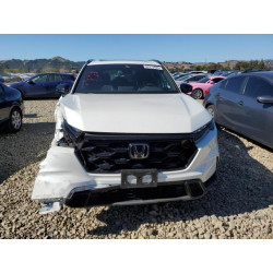 2024 HONDA CRV 7FARS6H5XRE074825 82213685