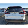 2024 HONDA CRV 7FARS6H5XRE074825 82213685