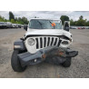 2020 JEEP WRANGLER 1C4HJXDN2LW213340 64623405