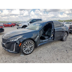 2023 CADILLAC CT5 1G6DN5RW5P0153266 80445065