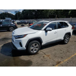 2023 TOYOTA RAV4 2T3W1RFV0PW241299 81300335