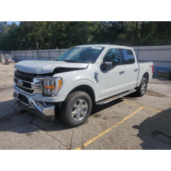 2023 FORD F-150 1FTFW1E86PKF91883 85820395