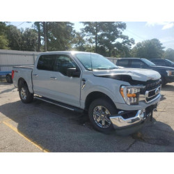 2023 FORD F-150 1FTFW1E86PKF91883 85820395
