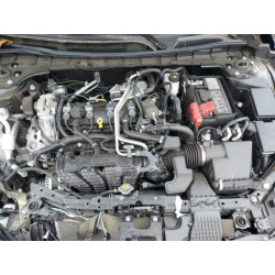 2024 NISSAN ALTIMA 1N4BL4EV2RN427584 70897145