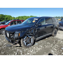 2025 KIA TELLURIDE 5XYP3DGC3SG593735 55822795
