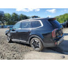 2025 KIA TELLURIDE 5XYP3DGC3SG593735 55822795