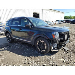 2025 KIA TELLURIDE 5XYP3DGC3SG593735 55822795