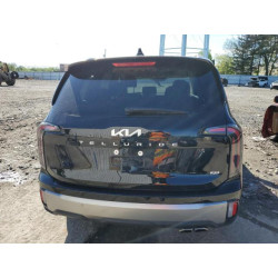 2025 KIA TELLURIDE 5XYP3DGC3SG593735 55822795