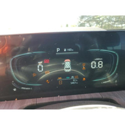 2025 KIA TELLURIDE 5XYP3DGC3SG593735 55822795