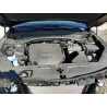 2025 KIA TELLURIDE 5XYP3DGC3SG593735 55822795