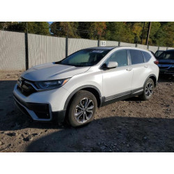 2022 HONDA CRV 5J6RW2H5XNA015263 80091165