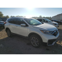 2022 HONDA CRV 5J6RW2H5XNA015263 80091165