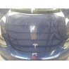 2023 TESLA MODEL 3 5YJ3E1EAXPF643120 67834315