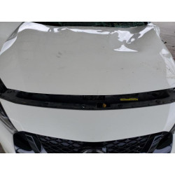 2021 NISSAN MAXIMA 1N4AA6EV7MC510641 69999495
