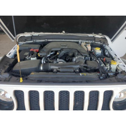 2020 JEEP WRANGLER 1C4HJXDG8LW286777 70005385