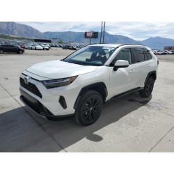 2024 TOYOTA RAV4 2T3T6RFV1RW061921 80027285