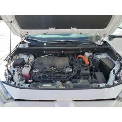 2024 TOYOTA RAV4 2T3T6RFV1RW061921 80027285