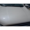2020 FORD ECOSPORT MAJ6S3GL0LC327691 62311905