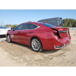2020 LEXUS ES300 58AE21B11LU011439 80488505