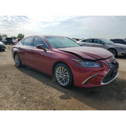 2020 LEXUS ES300 58AE21B11LU011439 80488505