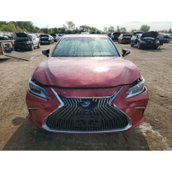 2020 LEXUS ES300 58AE21B11LU011439 80488505