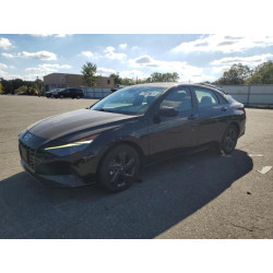 2023 HYUNDAI ELANTRA 5NPLM4AG3PH102555 85144785