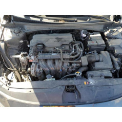 2023 HYUNDAI ELANTRA 5NPLM4AG3PH102555 85144785