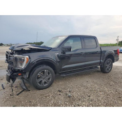 2023 FORD F-150 1FTFW1E85PKE98837 71646885