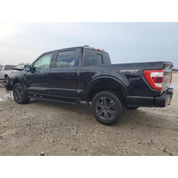 2023 FORD F-150 1FTFW1E85PKE98837 71646885