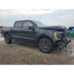 2023 FORD F-150 1FTFW1E85PKE98837 71646885