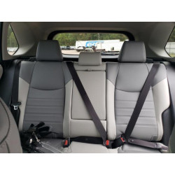 2025 TOYOTA RAV4 JTMB6RFV4SD165897 84710485