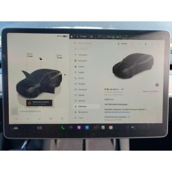 2023 TESLA MODEL Y 7SAYGDEE7PA059259 60117305