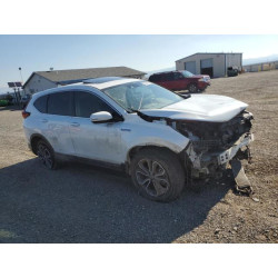 2020 HONDA CRV 7FART6H58LE014000 64846805