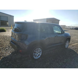 2023 JEEP RENEGADE ZACNJDB19PPP59876 84040585