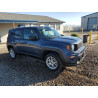 2023 JEEP RENEGADE ZACNJDB19PPP59876 84040585