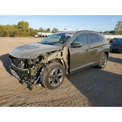 2025 HYUNDAI TUCSON 5NMJC3DE6SH462634 80193155