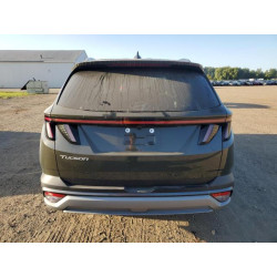 2025 HYUNDAI TUCSON 5NMJC3DE6SH462634 80193155
