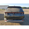 2025 HYUNDAI TUCSON 5NMJC3DE6SH462634 80193155