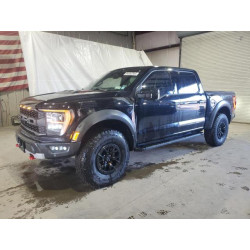 2023 FORD F150 1FTFW1RG0PFB42466 86202305