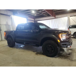2023 FORD F150 1FTFW1RG0PFB42466 86202305
