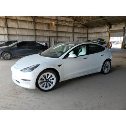 2021 TESLA MODEL 3 5YJ3E1EA6MF019083 82231125