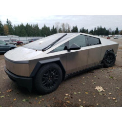 2024 TESLA CYBERTRUCK 7G2CEHED0RA011257 79314824