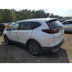 2022 HONDA CRV 7FARW1H85NE013913 80155135