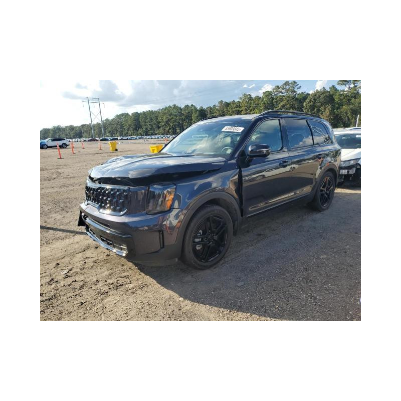 2025 KIA TELLURIDE 5XYP5DGC5SG598896 85903845