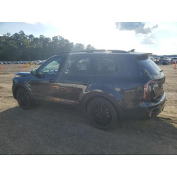 2025 KIA TELLURIDE 5XYP5DGC5SG598896 85903845