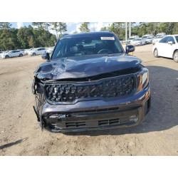 2025 KIA TELLURIDE 5XYP5DGC5SG598896 85903845