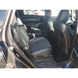 2025 KIA TELLURIDE 5XYP5DGC5SG598896 85903845