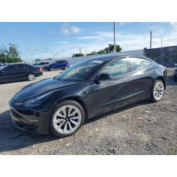 2021 TESLA MODEL 3 5YJ3E1EA2MF018092 81393515