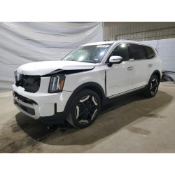 2024 KIA TELLURIDE 5XYP6DGC7RG478864 69826135