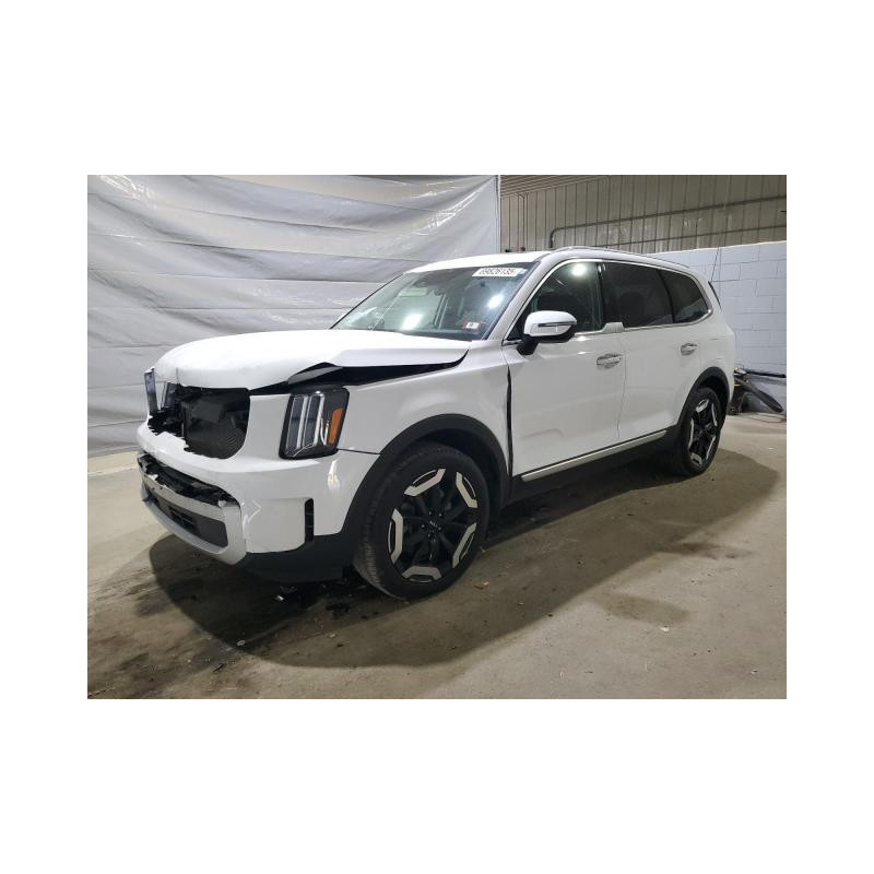 2024 KIA TELLURIDE 5XYP6DGC7RG478864 69826135 2024 KIA TELLURIDE 5XYP6DGC7RG478864 69826135